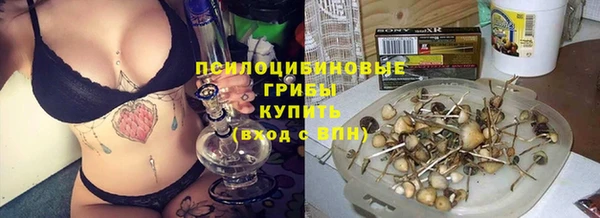 первитин Арсеньев