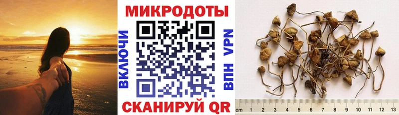 Галлюциногенные грибы GOLDEN TEACHER  магазин  наркотиков  мега ССЫЛКА  Бодайбо 